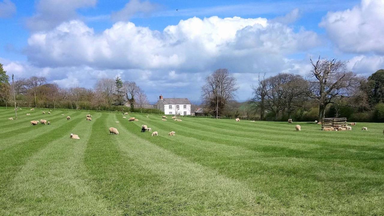 أوكيهامبتن Lovaton Farmhouse المظهر الخارجي الصورة