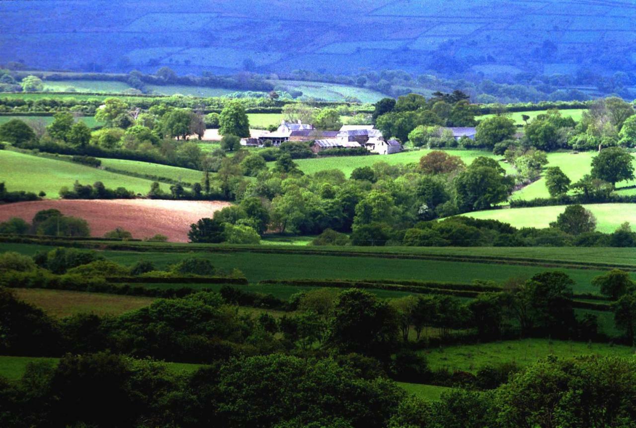 أوكيهامبتن Lovaton Farmhouse المظهر الخارجي الصورة