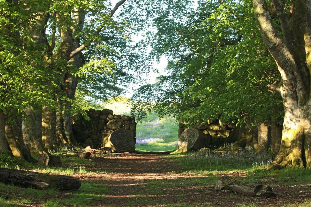 أوكيهامبتن Lovaton Farmhouse المظهر الخارجي الصورة